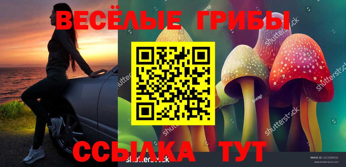 Псилоцибиновые грибы Cubensis Якутск